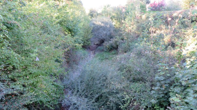 Maison ROUX et SUZON- 5-10-2018 002