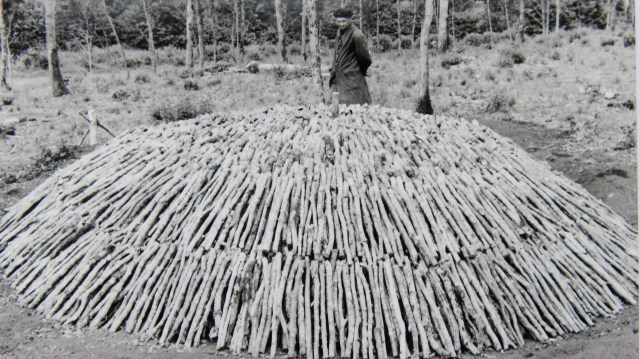 25-1-2019- MILESI- Charbonnier 014