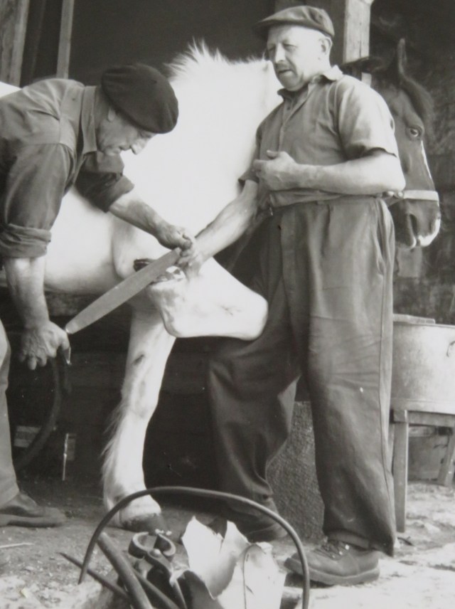 M.MICHOT- 10-5-2019 007